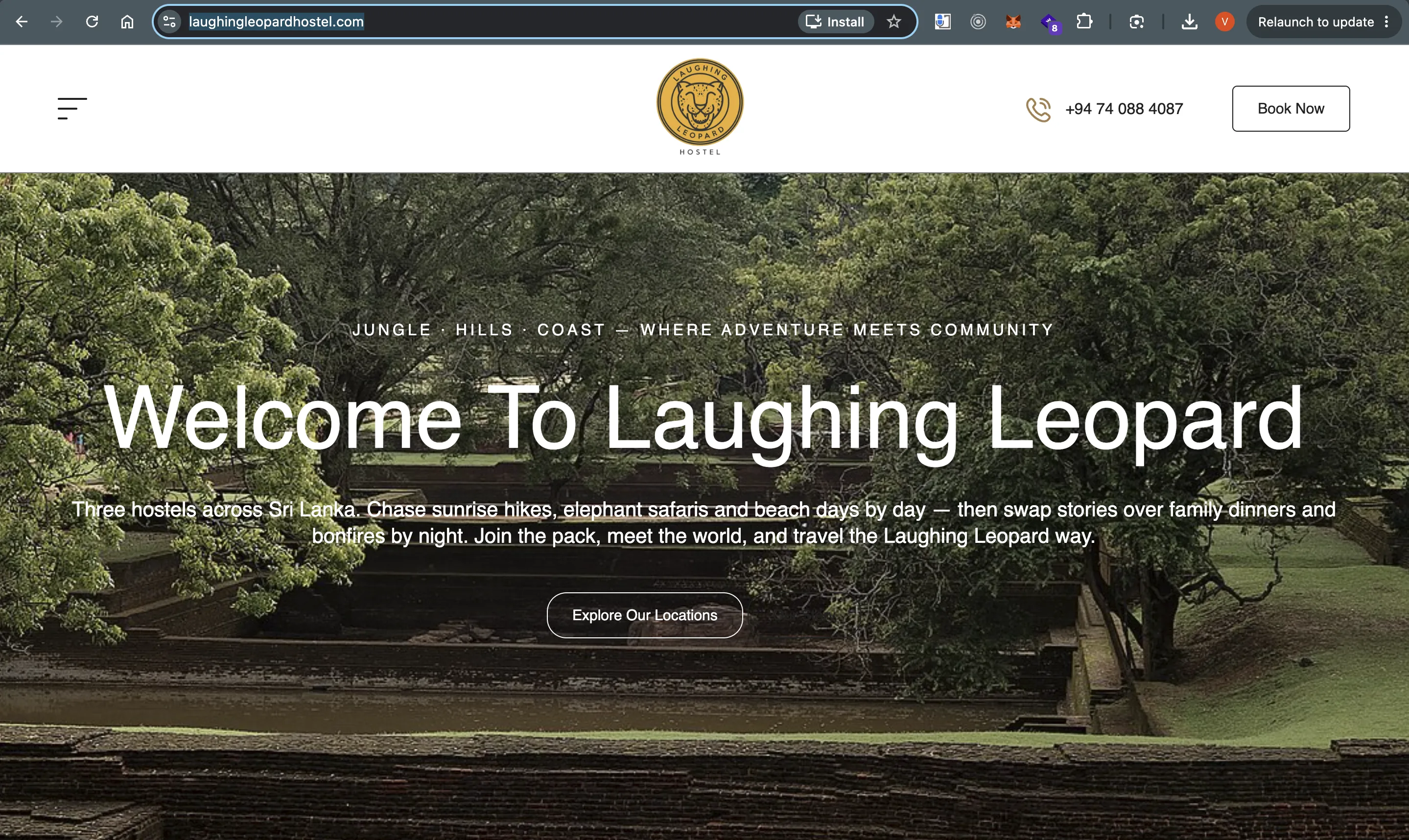 Laughing Leopard Hostel website screenshot